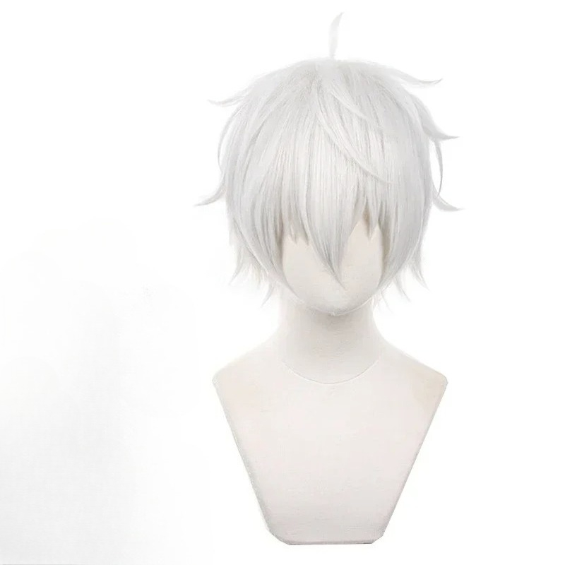 Anime Seishiro Nagi Cosplay Wi - Cosplay Anime White Hair ulasan dan harga