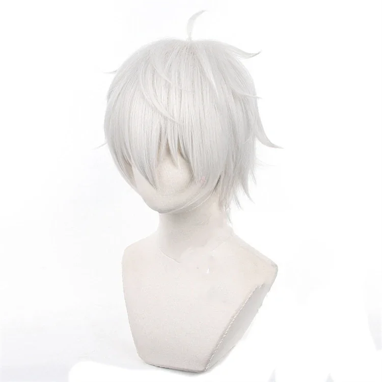 Anime Seishiro Nagi Cosplay Wi - Cosplay Anime White Hair ulasan dan harga