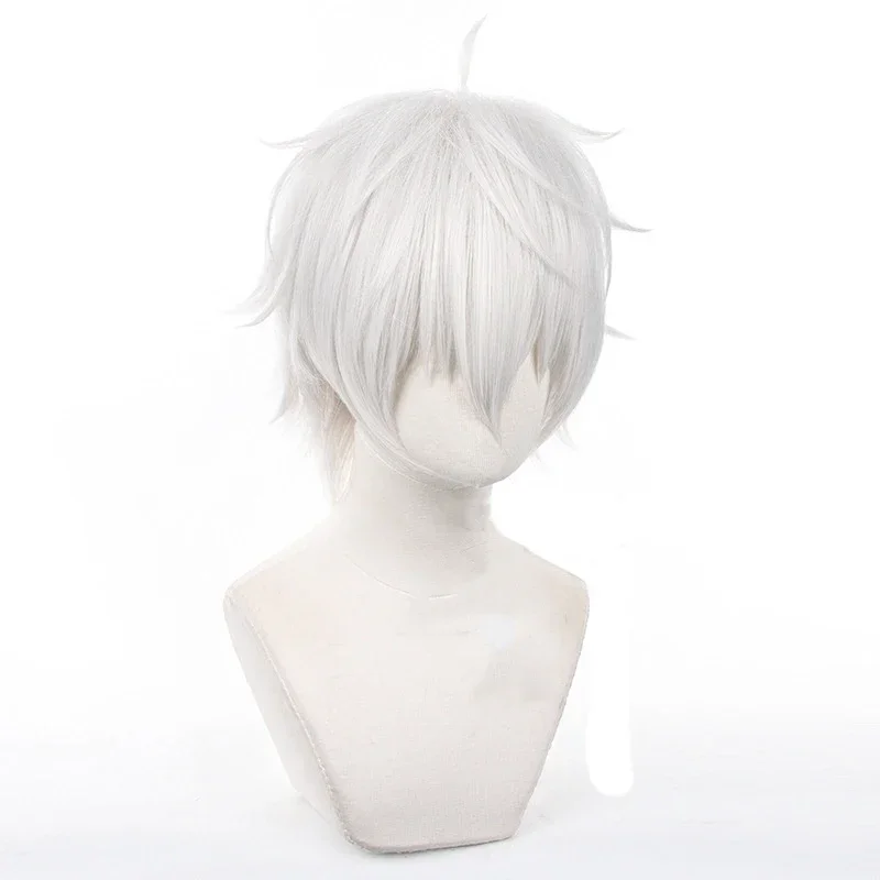 Anime Seishiro Nagi Cosplay Wi - Cosplay Anime White Hair ulasan dan harga