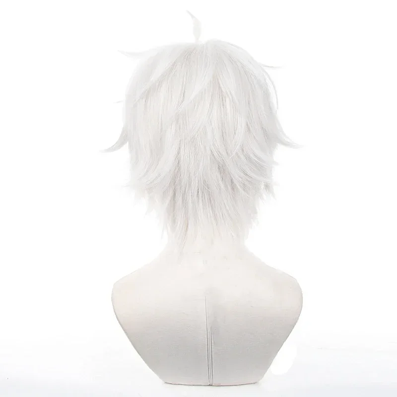 Anime Seishiro Nagi Cosplay Wi - Cosplay Anime White Hair ulasan dan harga
